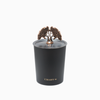 The Royale Candle